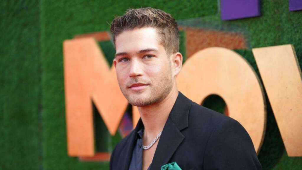 Introducing Dom Fenison